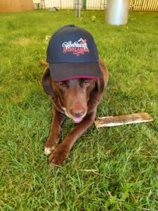 Les Goodies sont pour tous les membres