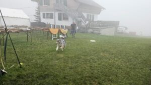 Démontage dans le brouillard